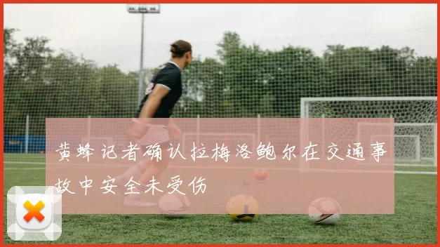黄蜂记者确认拉梅洛鲍尔在交通事故中安全未受伤