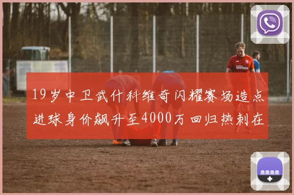 19岁中卫武什科维奇闪耀赛场造点进球身价飙升至4000万回归热刺在即